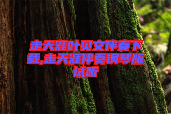 走天涯葉貝文伴奏下載,走天涯伴奏鋼琴版試聽(tīng)