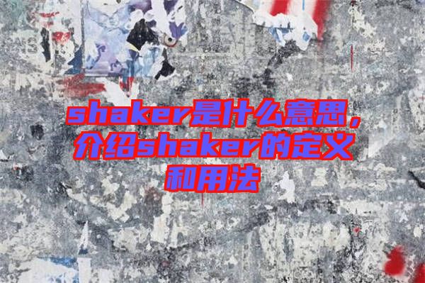 shaker是什么意思，介紹shaker的定義和用法