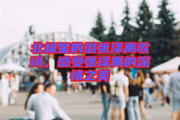 北極星的淚張澤禹歌詞，感受張澤禹的深情之美