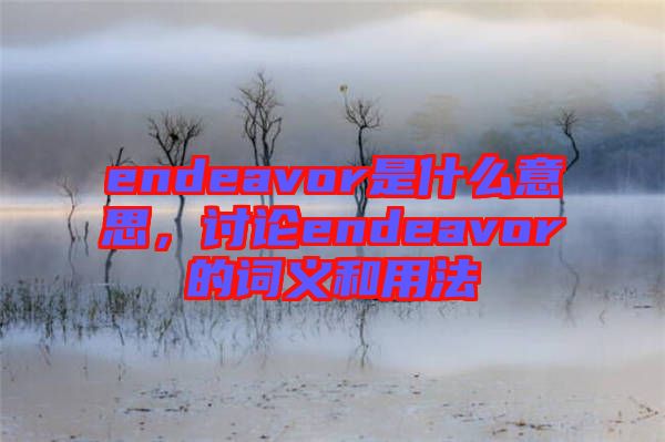 endeavor是什么意思，討論endeavor的詞義和用法