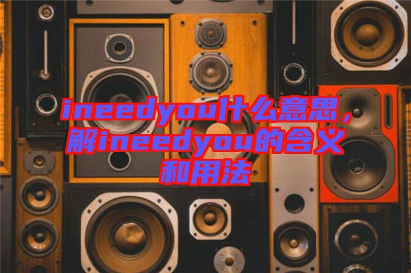 ineedyou什么意思，解ineedyou的含義和用法