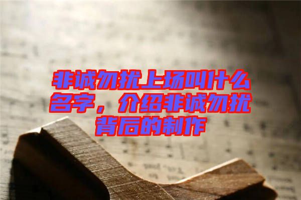 非誠勿擾上場叫什么名字，介紹非誠勿擾背后的制作