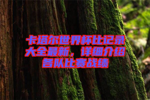 卡塔爾世界杯比記錄大全最新，詳細(xì)介紹各隊(duì)比賽戰(zhàn)績(jī)