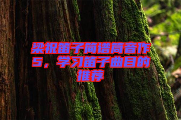 梁祝笛子簡譜筒音作5，學習笛子曲目的推薦