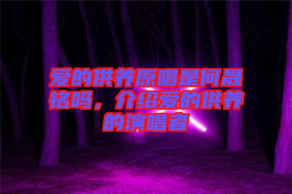 愛的供養(yǎng)原唱是何晟銘嗎，介紹愛的供養(yǎng)的演唱者