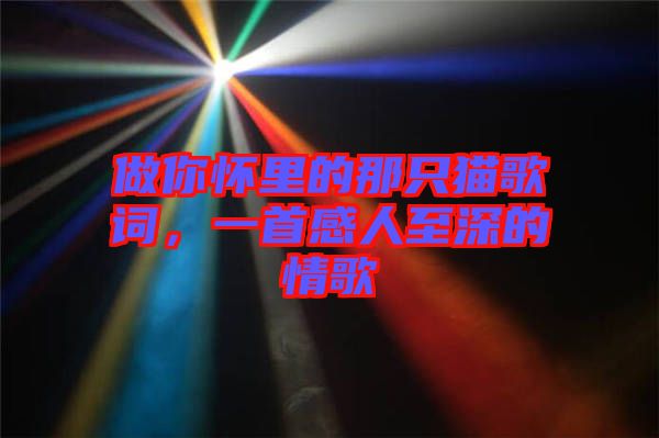 做你懷里的那只貓歌詞，一首感人至深的情歌