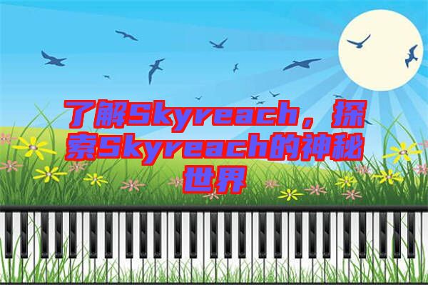 了解Skyreach，探索Skyreach的神秘世界