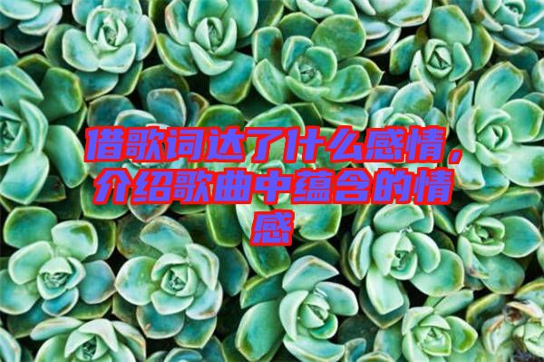 借歌詞達了什么感情，介紹歌曲中蘊含的情感