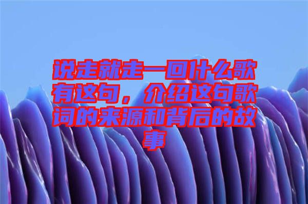 說走就走一回什么歌有這句，介紹這句歌詞的來源和背后的故事