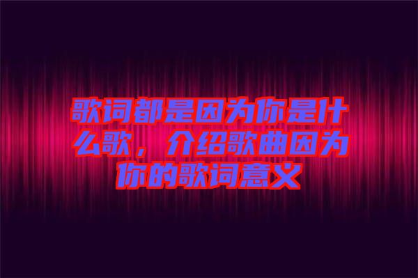 歌詞都是因?yàn)槟闶鞘裁锤瑁榻B歌曲因?yàn)槟愕母柙~意義