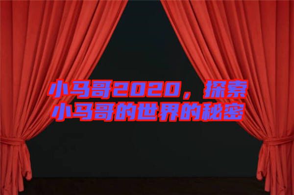 小馬哥2020，探索小馬哥的世界的秘密