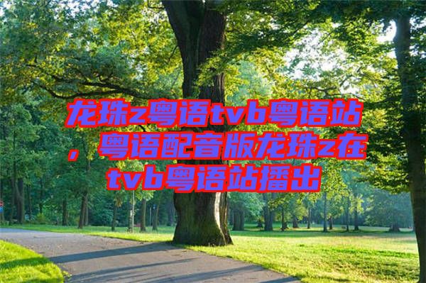 龍珠z粵語(yǔ)tvb粵語(yǔ)站，粵語(yǔ)配音版龍珠z在tvb粵語(yǔ)站播出