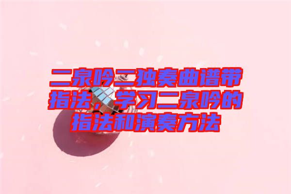 二泉吟二獨(dú)奏曲譜帶指法，學(xué)習(xí)二泉吟的指法和演奏方法