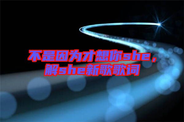 不是因?yàn)椴畔肽鉺he，解she新歌歌詞