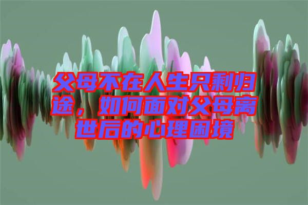 父母不在人生只剩歸途，如何面對(duì)父母離世后的心理困境