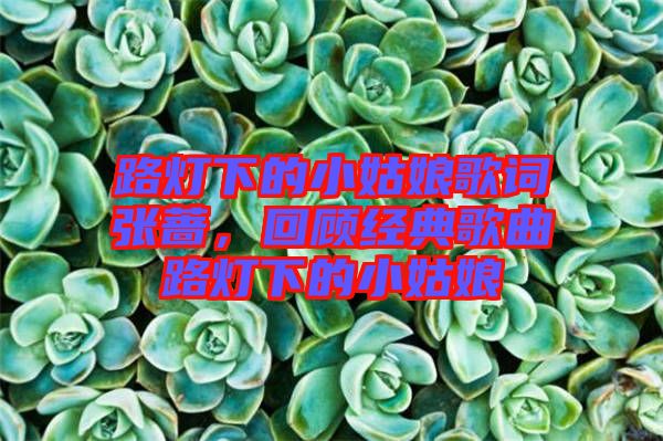 路燈下的小姑娘歌詞張薔，回顧經(jīng)典歌曲路燈下的小姑娘