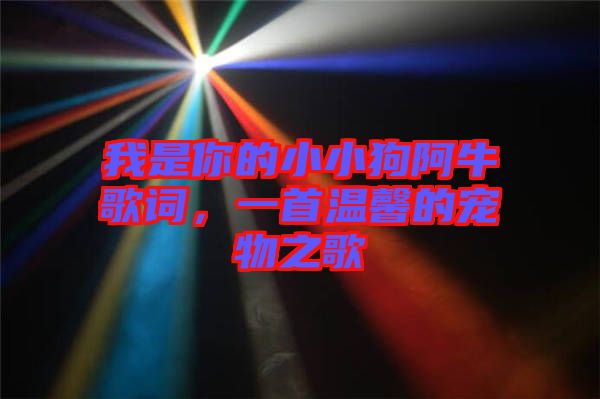 我是你的小小狗阿牛歌詞，一首溫馨的寵物之歌