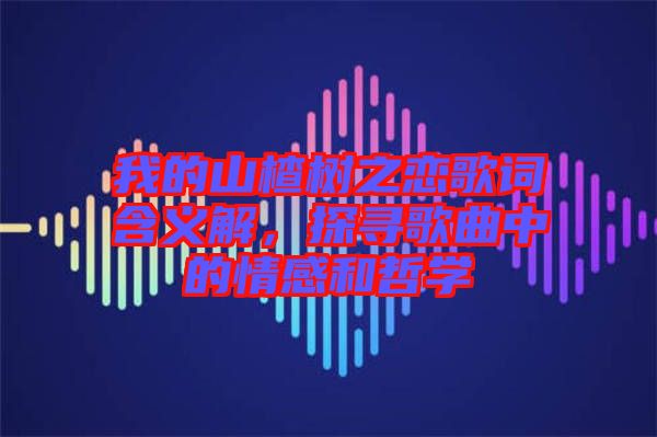 我的山楂樹之戀歌詞含義解，探尋歌曲中的情感和哲學(xué)