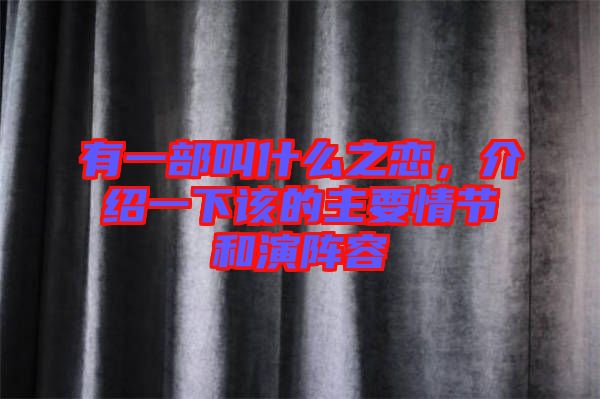 有一部叫什么之戀，介紹一下該的主要情節(jié)和演陣容