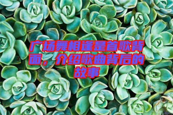 廣場舞相逢是首歌背面，介紹歌曲背后的故事