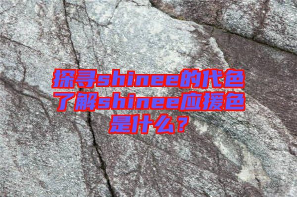 探尋shinee的代色了解shinee應(yīng)援色是什么？