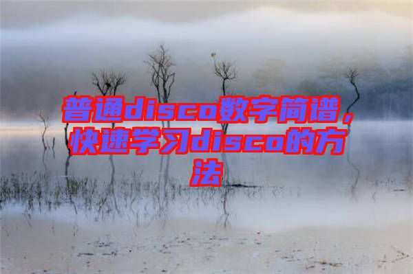 普通disco數(shù)字簡譜，快速學習disco的方法