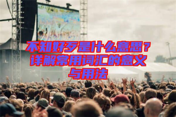 不知好歹是什么意思？詳解常用詞匯的意義與用法