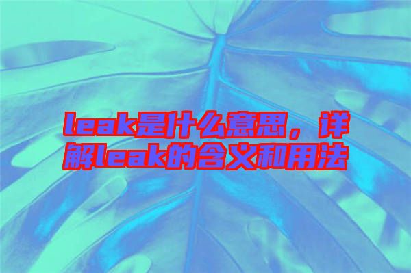 leak是什么意思，詳解leak的含義和用法