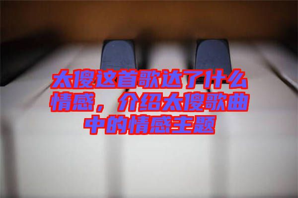 太傻這首歌達(dá)了什么情感，介紹太傻歌曲中的情感主題