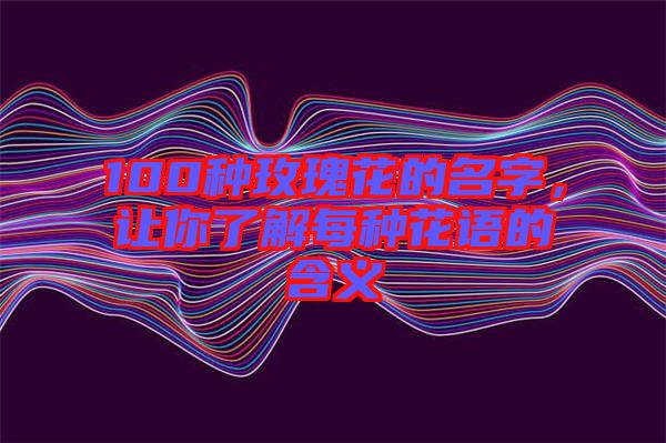 100種玫瑰花的名字，讓你了解每種花語的含義