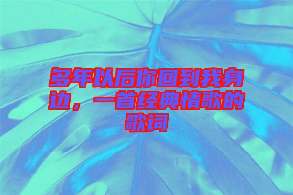 多年以后你回到我身邊，一首經(jīng)典情歌的歌詞