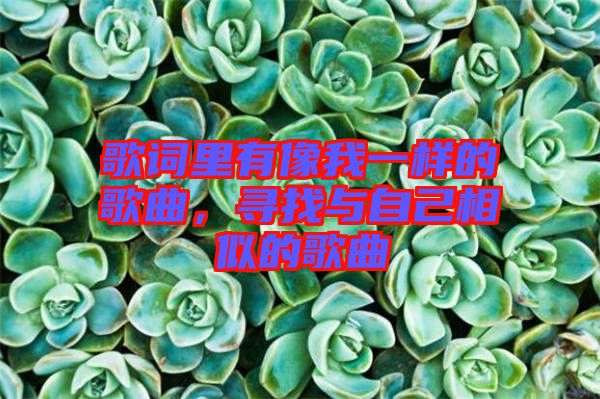 歌詞里有像我一樣的歌曲，尋找與自己相似的歌曲