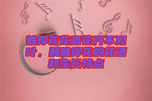 彼岸花花語花開不見葉，解彼岸花的花語和生長特點(diǎn)