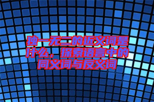 獨(dú)一無(wú)二的近義詞是什么，探索語(yǔ)言中的同義詞與反義詞