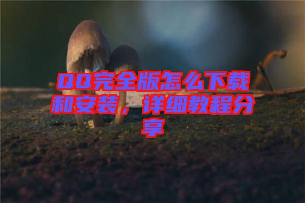 QQ完全版怎么下載和安裝，詳細(xì)教程分享