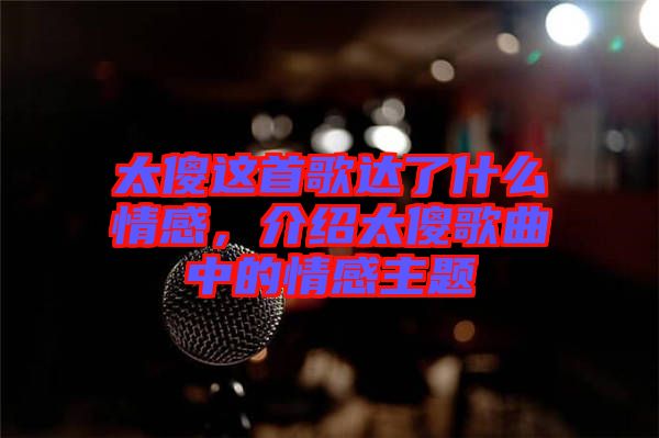 太傻這首歌達了什么情感，介紹太傻歌曲中的情感主題