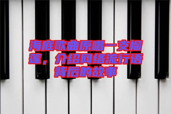 海底歌曲原唱一支榴蓮，介紹網(wǎng)絡流行語背后的故事