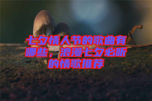 七夕情人節(jié)的歌曲有哪些，浪漫七夕必聽的情歌推薦