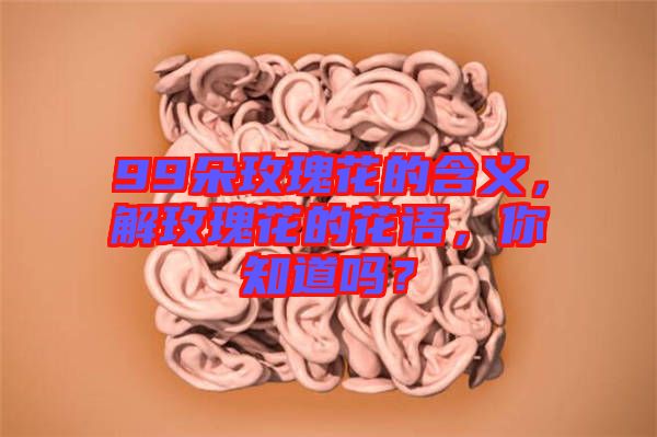 99朵玫瑰花的含義，解玫瑰花的花語(yǔ)，你知道嗎？