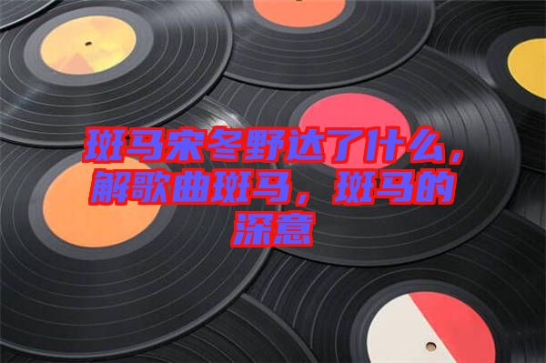 斑馬宋冬野達(dá)了什么，解歌曲斑馬，斑馬的深意