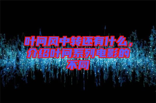 葉問風(fēng)中轉(zhuǎn)還有什么，介紹葉問系列電影的不同