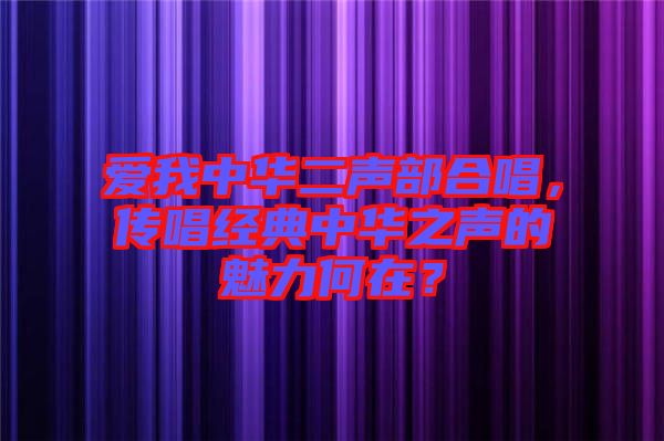 愛我中華二聲部合唱，傳唱經(jīng)典中華之聲的魅力何在？