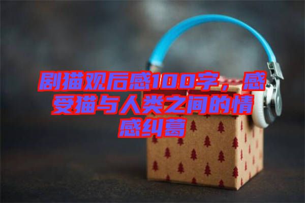 劇貓觀后感100字，感受貓與人類(lèi)之間的情感糾葛