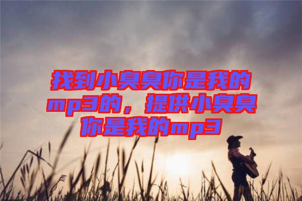 找到小臭臭你是我的mp3的，提供小臭臭你是我的mp3