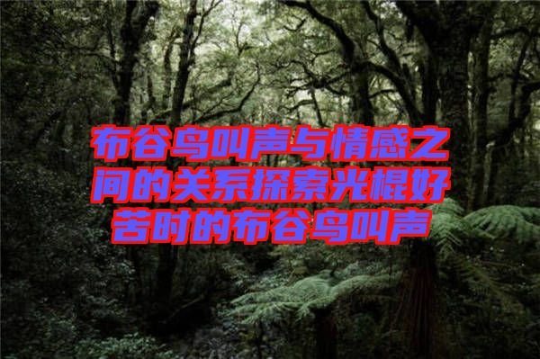 布谷鳥叫聲與情感之間的關(guān)系探索光棍好苦時(shí)的布谷鳥叫聲