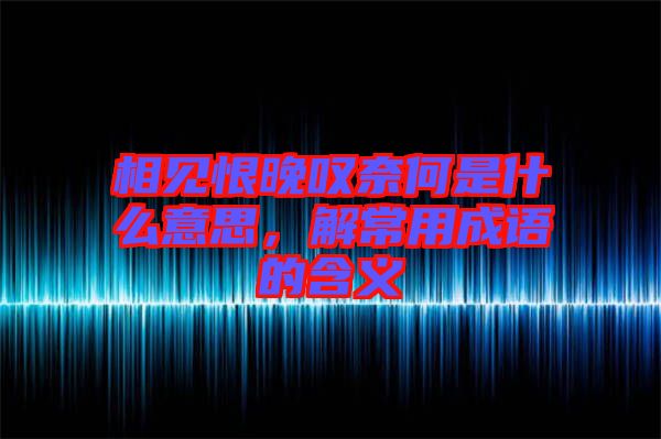 相見(jiàn)恨晚嘆奈何是什么意思，解常用成語(yǔ)的含義