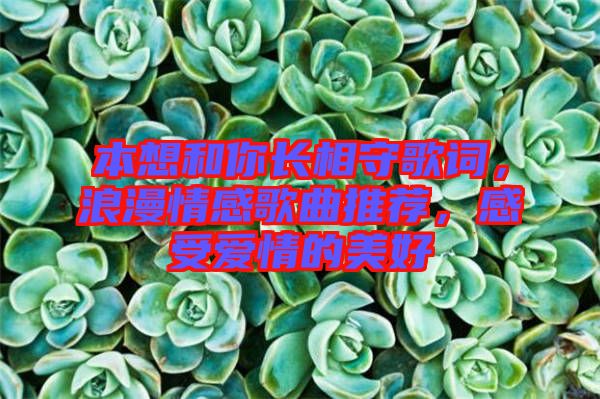 本想和你長相守歌詞，浪漫情感歌曲推薦，感受愛情的美好