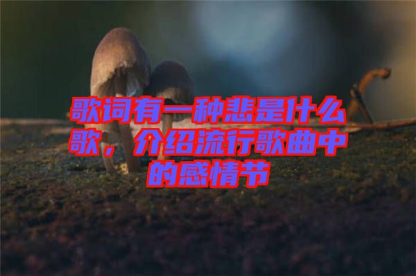 歌詞有一種悲是什么歌，介紹流行歌曲中的感情節(jié)