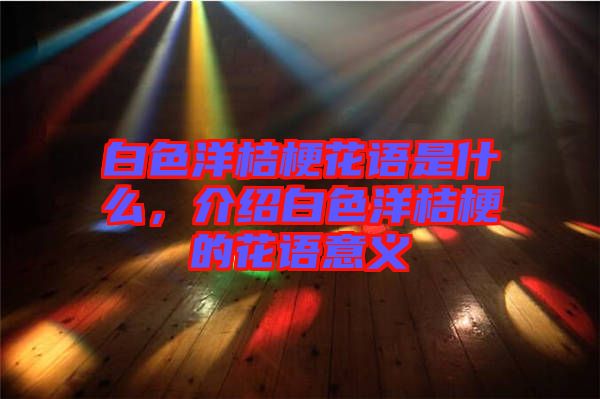 白色洋桔?；ㄕZ是什么，介紹白色洋桔梗的花語意義