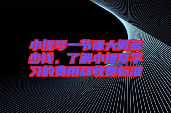 小提琴一節(jié)課大概多少錢，了解小提琴學(xué)習(xí)的費用和收費標(biāo)準(zhǔn)